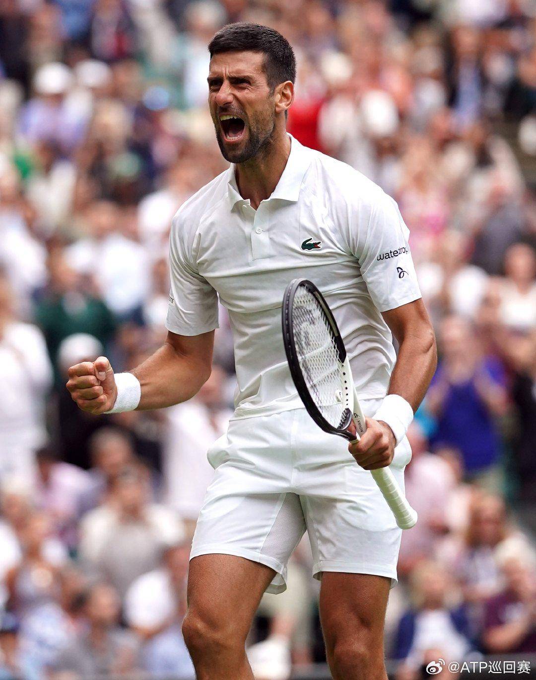 取得了关键 取得了关键